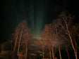 #0017 - Les aurores boréales derrière une forêt norvégienne