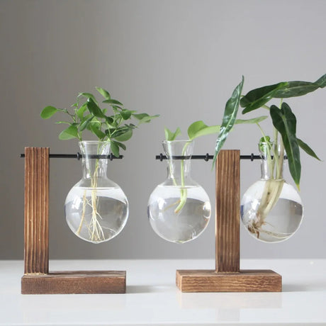 Vase de bureau hydroponique Vintage pour plantes