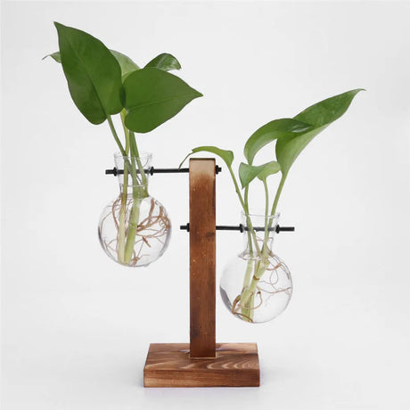 Vase de bureau hydroponique Vintage pour plantes